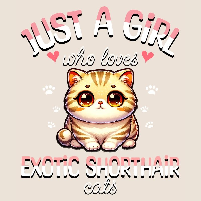 Mädchen Liebt Katze Exotisch Kurzhaar