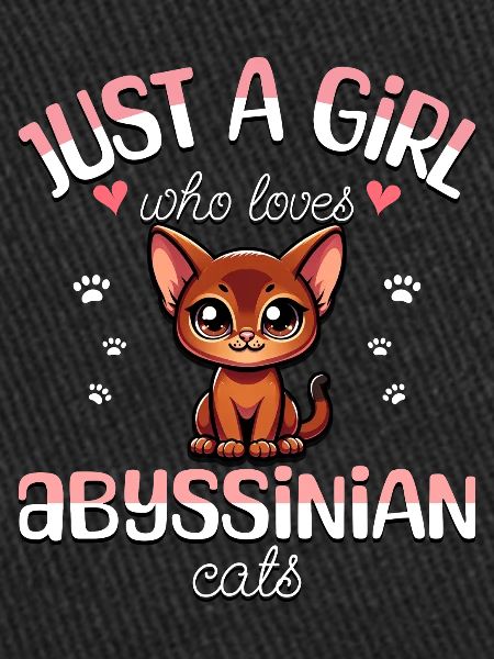 Fille Adore Chat Abyssin