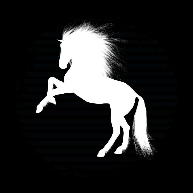 Cheval Noir et Blanc