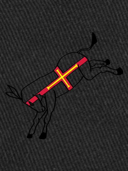 guernseydonkey