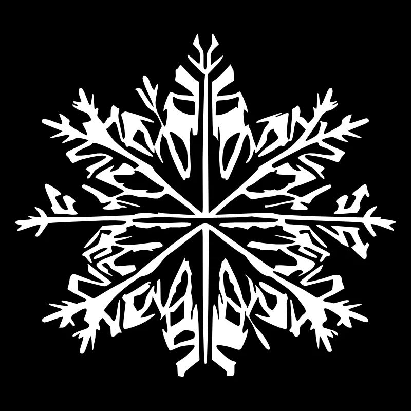 Snowflake Snow Winter Christmas Vector 7