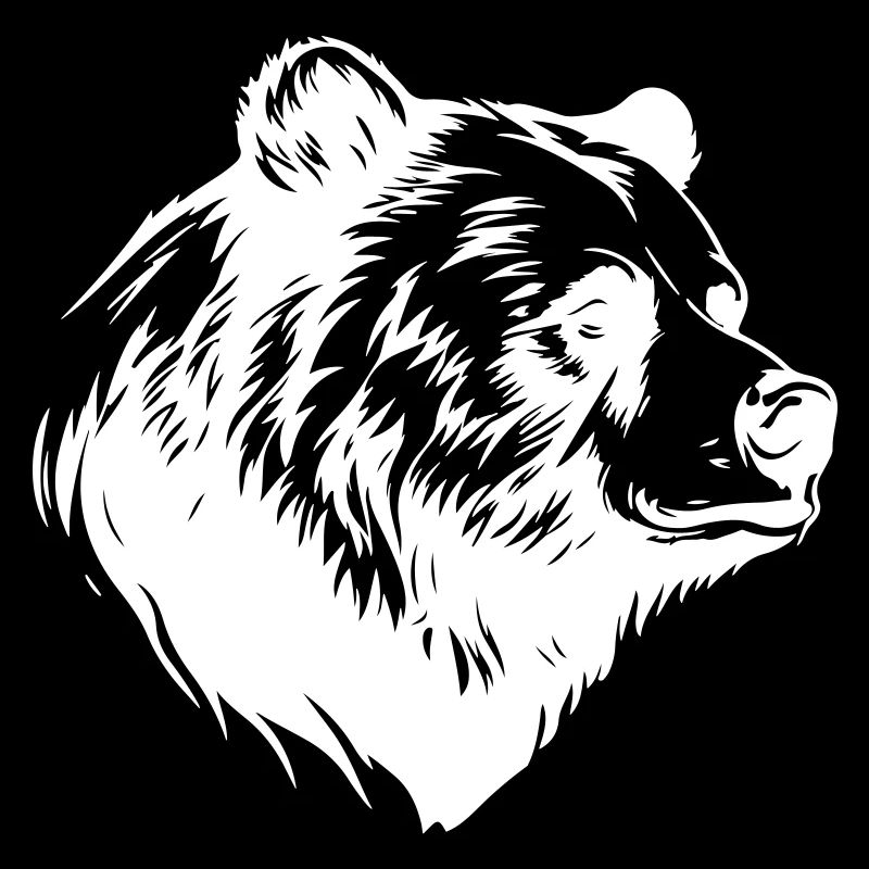 Ours Grizzly Animal