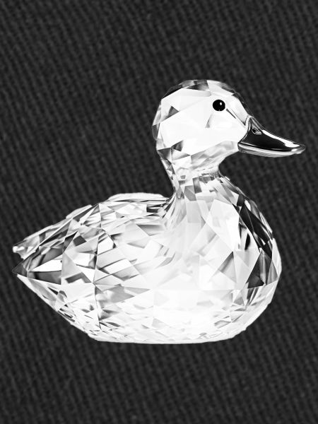 Canard de verre