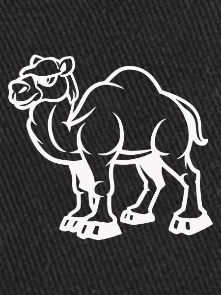 camel