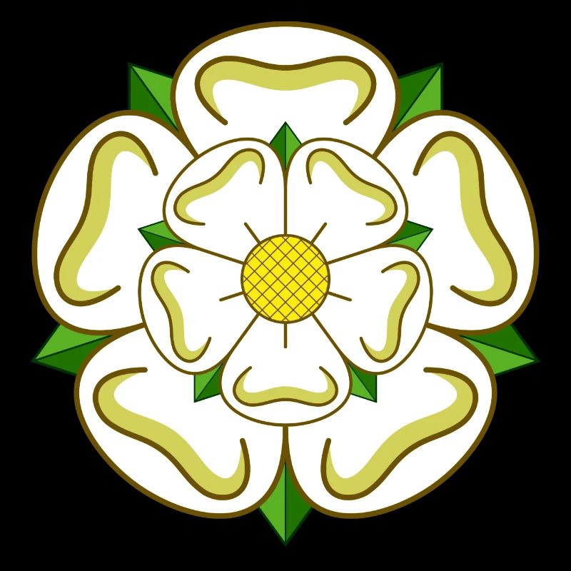 Die Yorkshire Rose