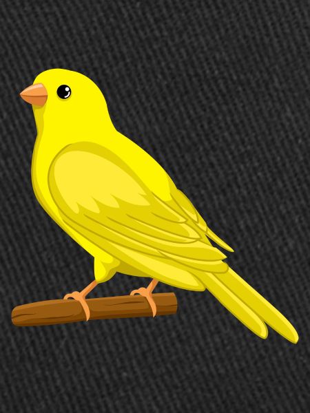 Canary Songbird, Bird Design
