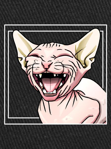 Sphynx Cat