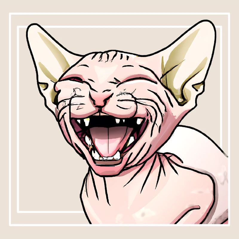 Le chat Sphynx rit