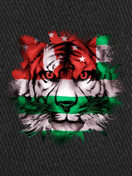 Abkhazie