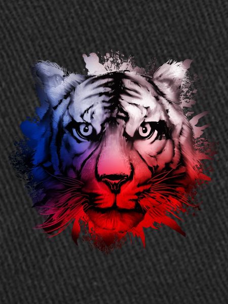 République tchèque