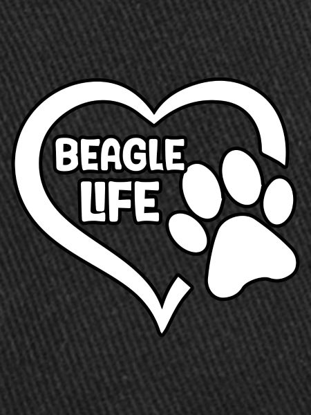 La vie de beagle