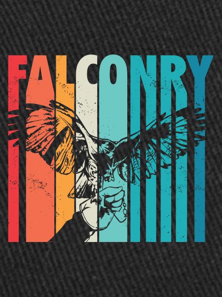 Falconry