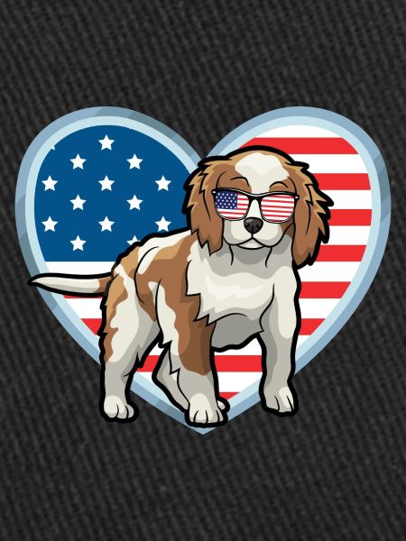 Cavalier King Charles Spaniel