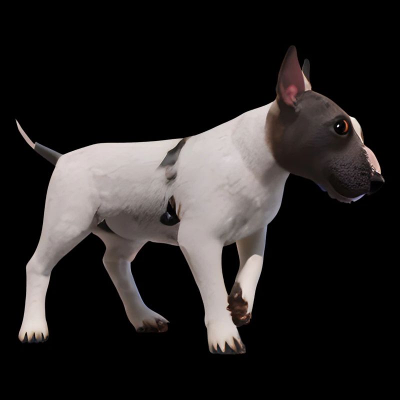 Miniature Bull Terrier