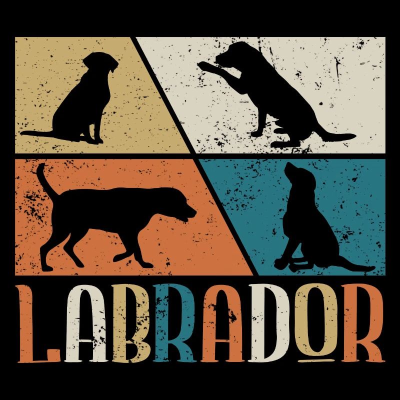 Labrador