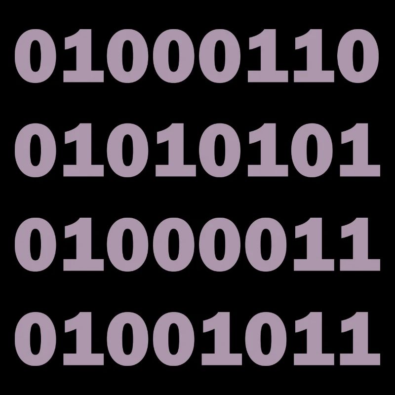 Code binaire Fuck