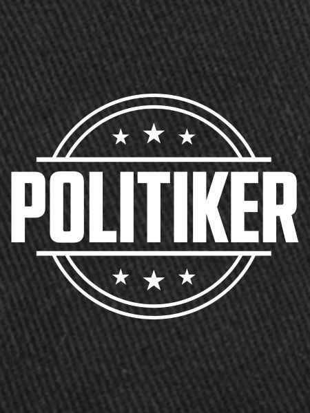 Politiker Beruf