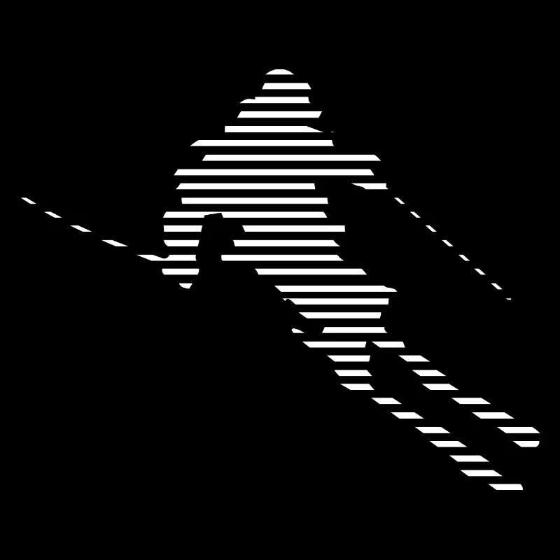 Ski - (23)