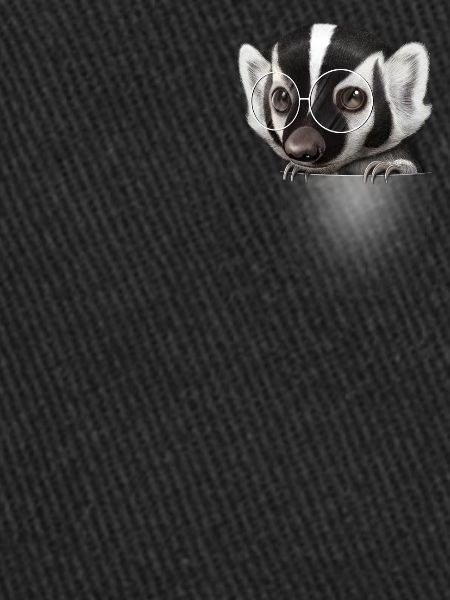 POCKET BADGER