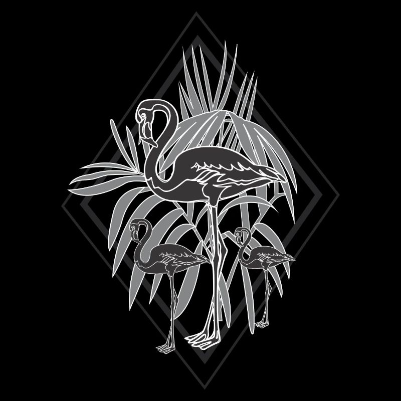 flamants roses noires