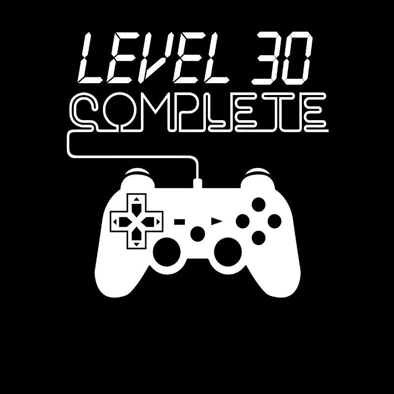 Level 30 Complete Shirt For Gamer