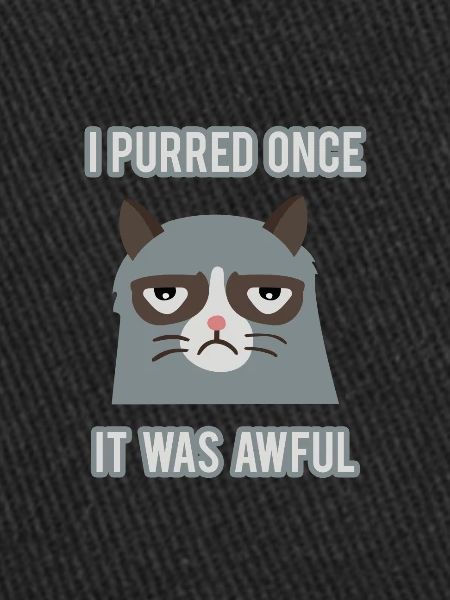 Grumpy Cat