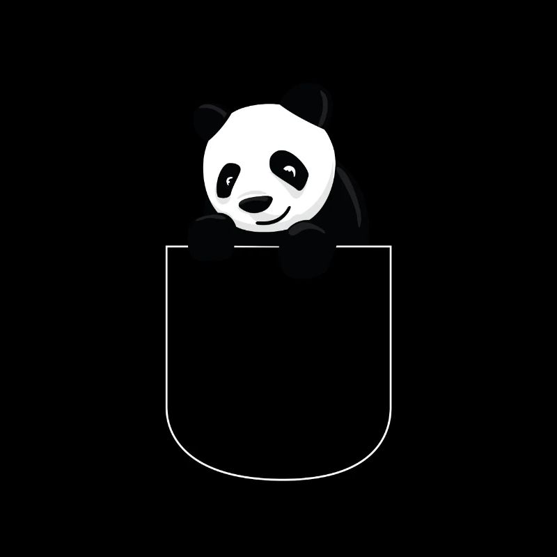 Panda dans le sac cadeau