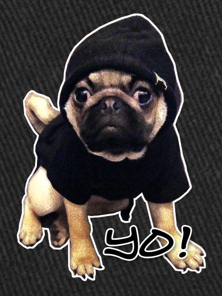 yo_mops_3