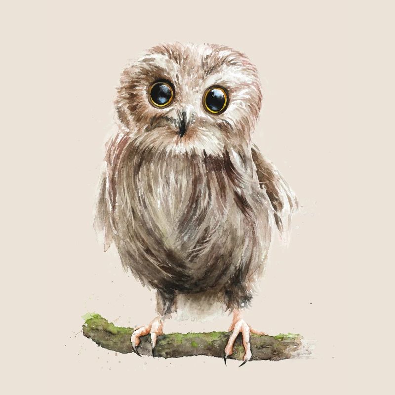 eule