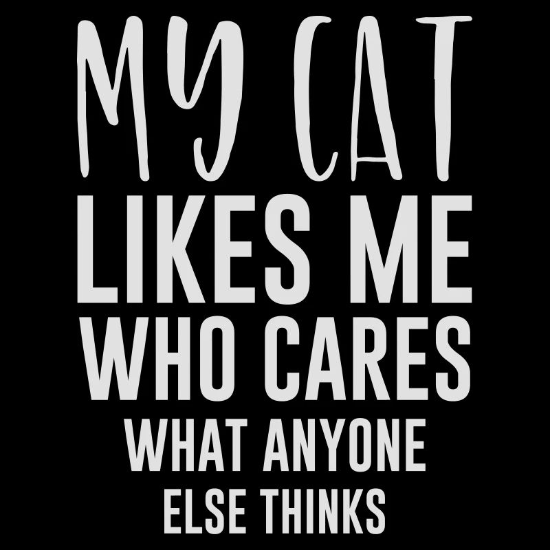 Chat Chats Cadeau Chat Amis Chat Cheveux