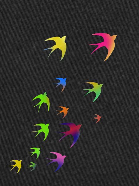 swallows