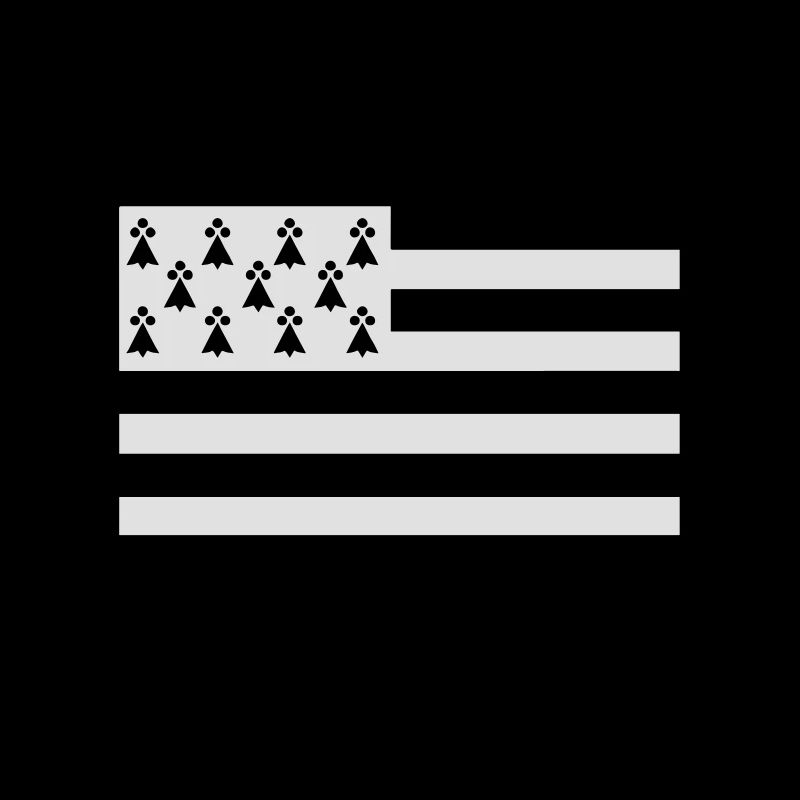 Breizh inside drapeau