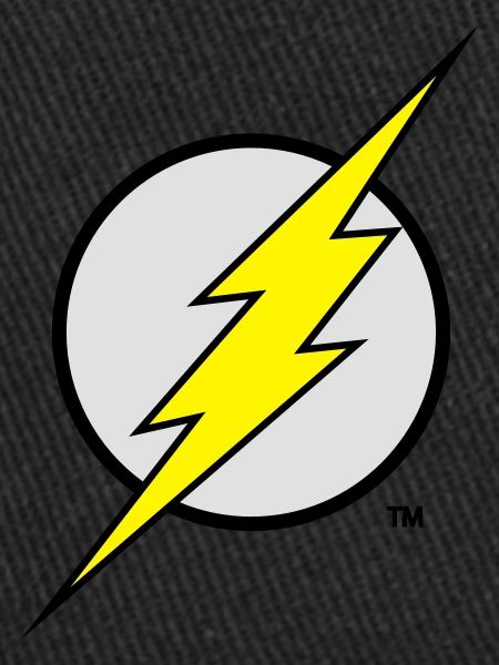 Flash Logo Flex