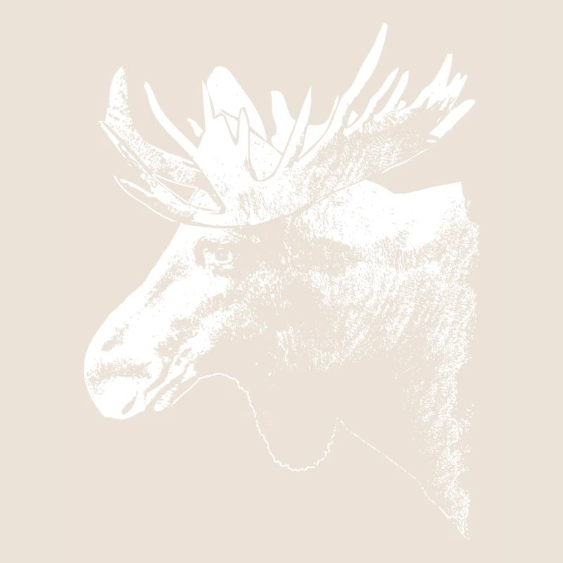 Elch - Moose