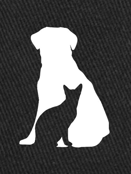 chien et chat