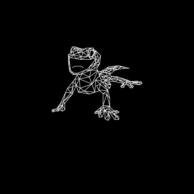 Gecko geometry