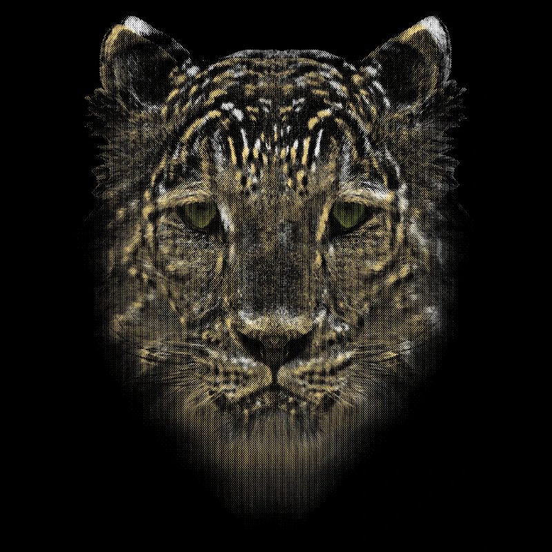 LEOPARD