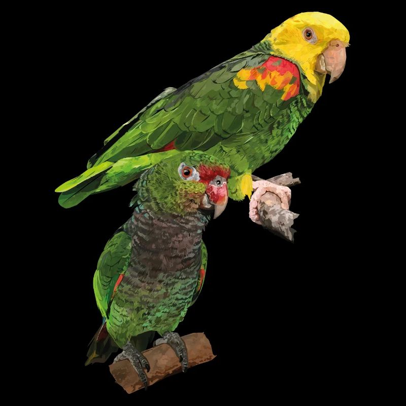 Parrots