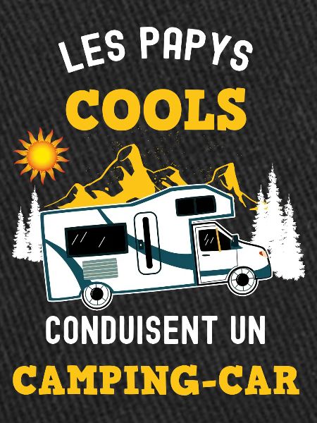 Camping-car papy cool