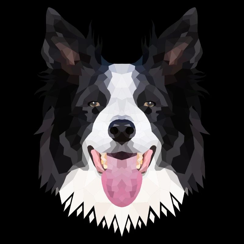 Polyart Border Collie