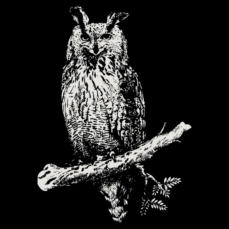 Le Hibou