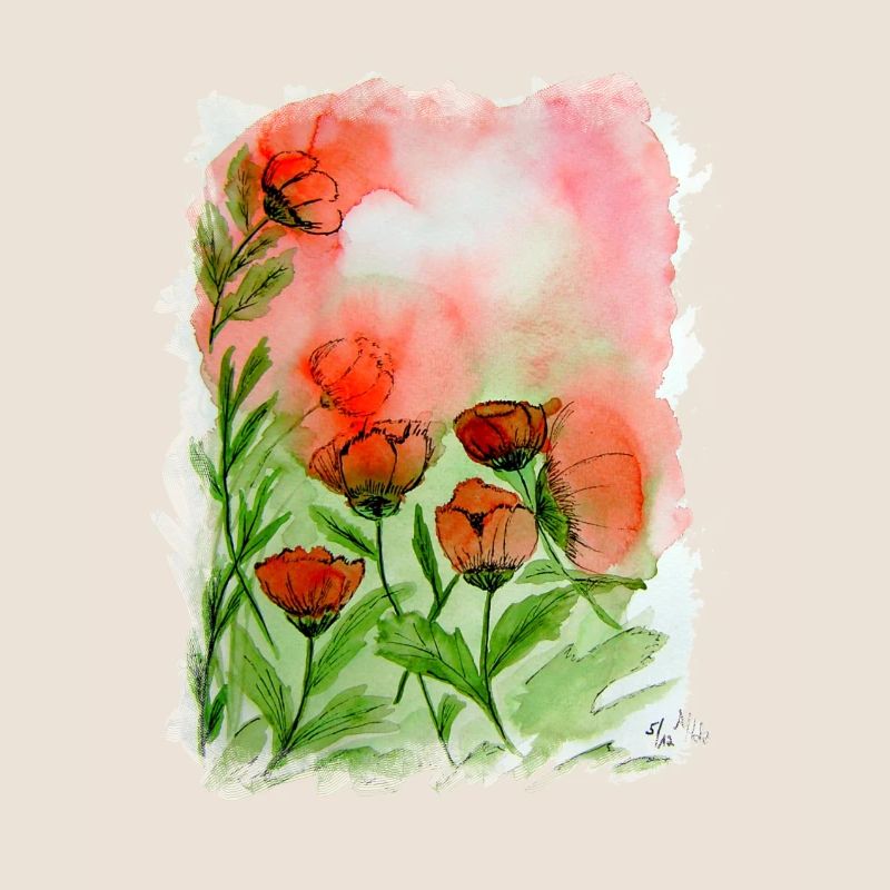 Aquarelle de coquelicots