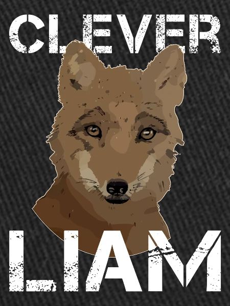L’anniversaire de Liam Liam
