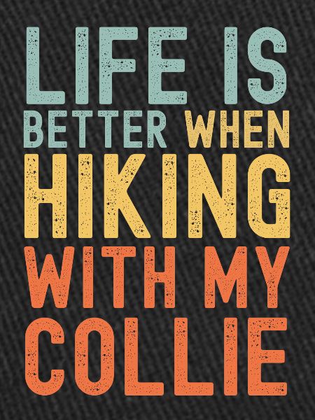Collie Hiking dog retro
