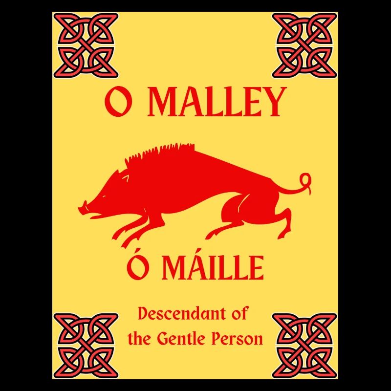 O MALLEY NACHNAME