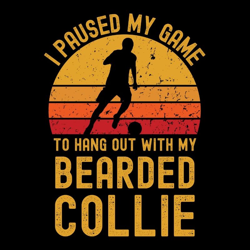 Fußball und Bearded-Collie