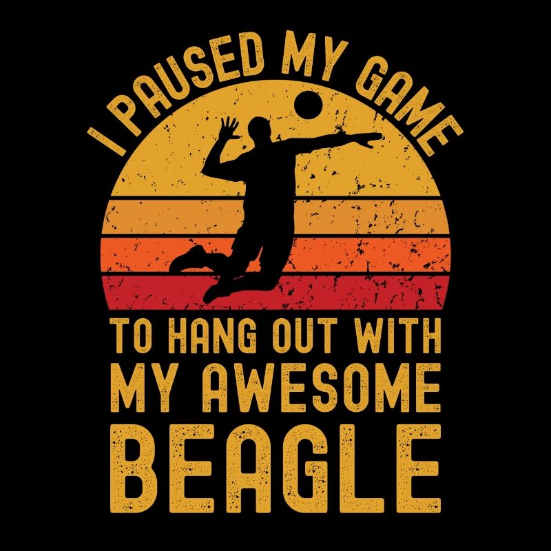 Volleyball und Beagle