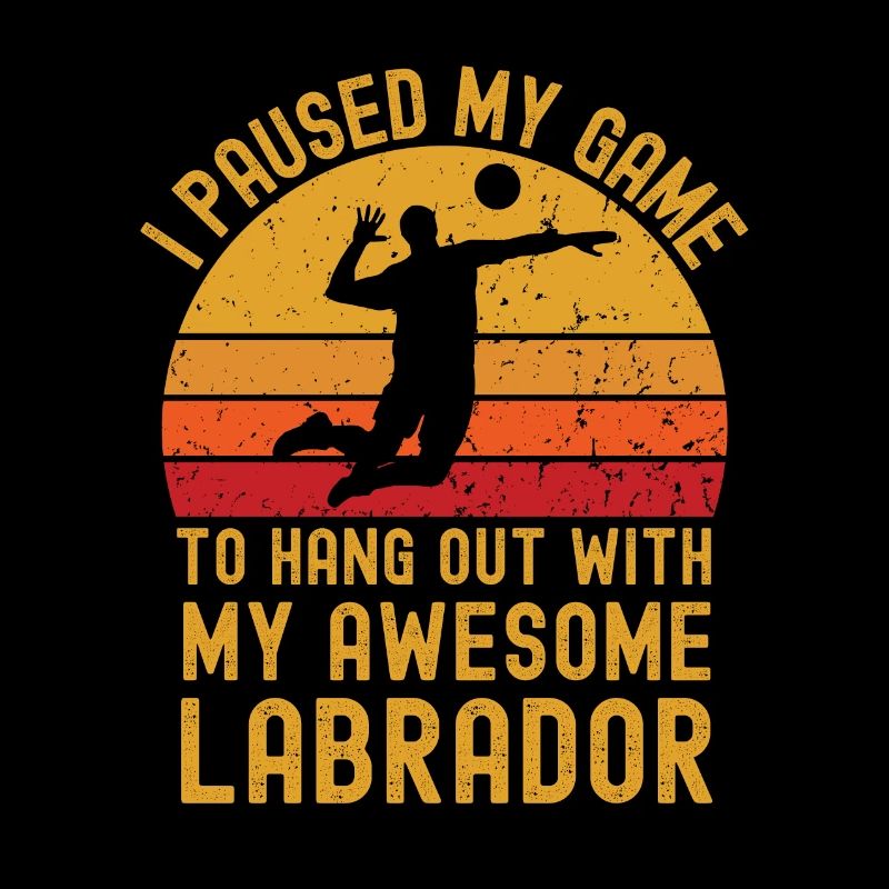 Volleyball et Labrador