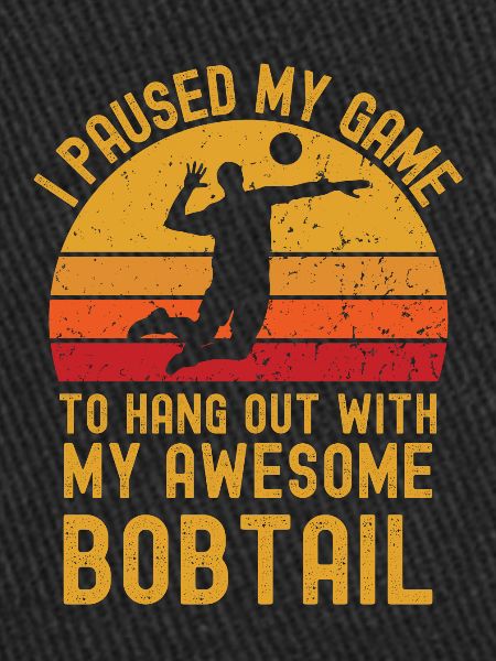 Volleyball et Bobtail