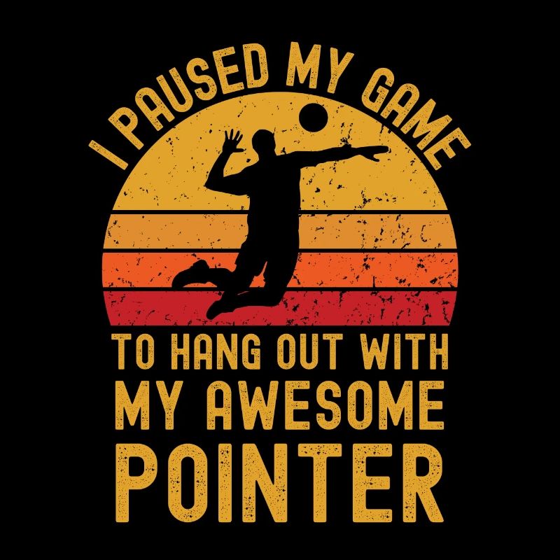 Volleyball und Pointer